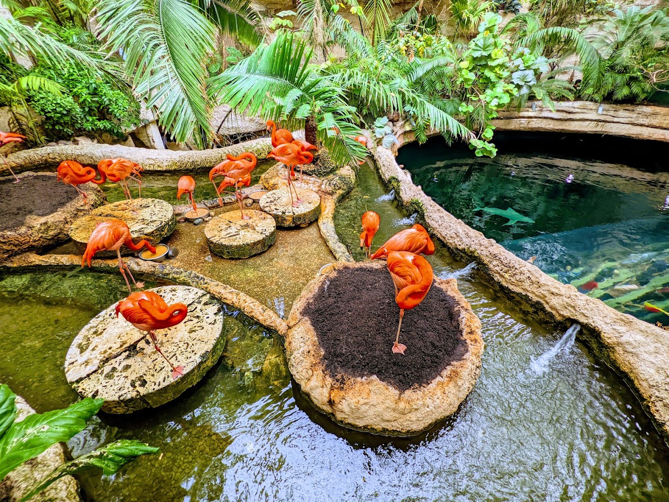 The Dallas World Aquarium restaurant